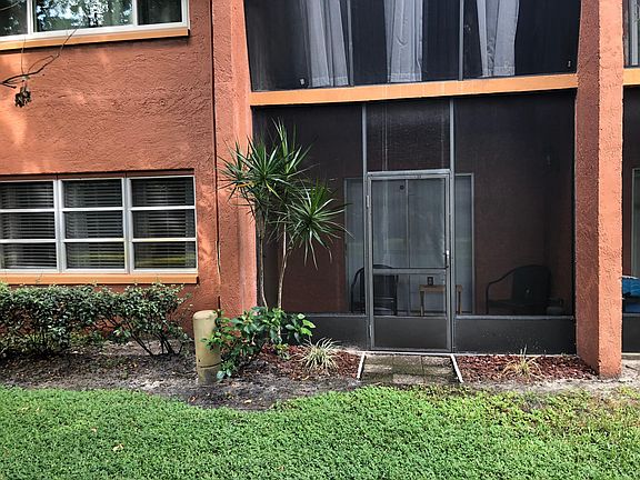 4th image of 4805 Alt 19 412 Palm
