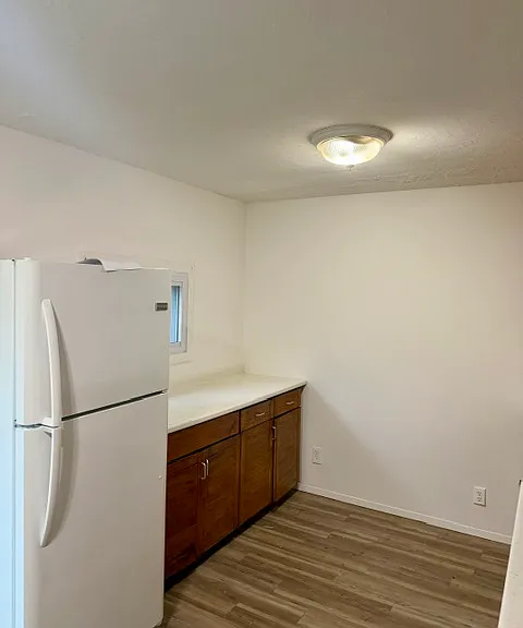 181 Orchid Dr — Photo 5