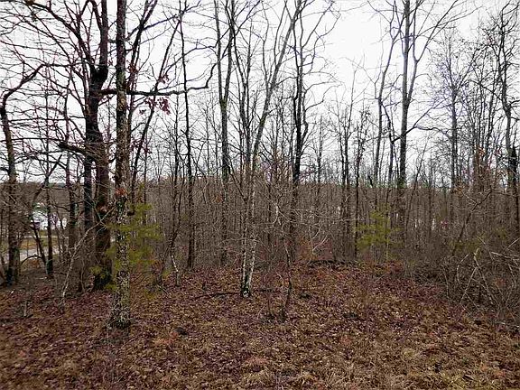 4th image of 2036 Coweta Dr