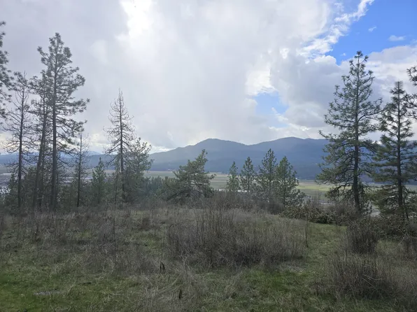 Tbd Buena Vista Rd, Colville, WA 99114