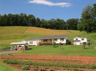 391 Short Branch Rd, Green mountain, NC 28740