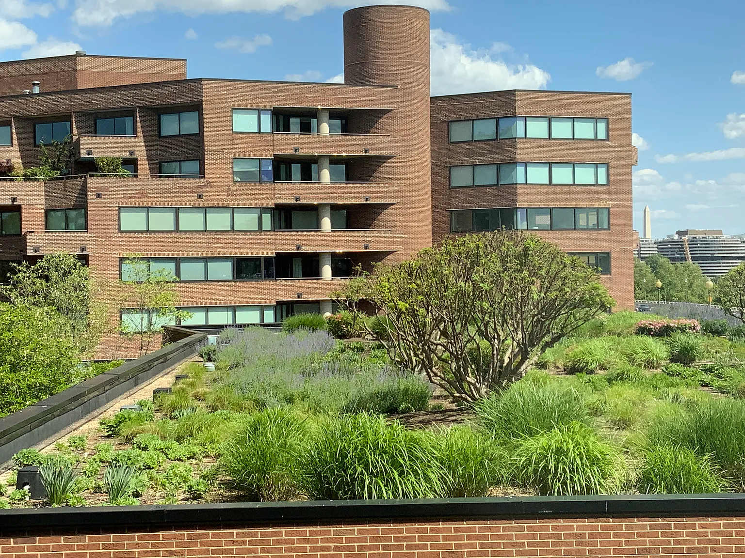 1 bed, 969 sqft, $7,500 — Photo 3