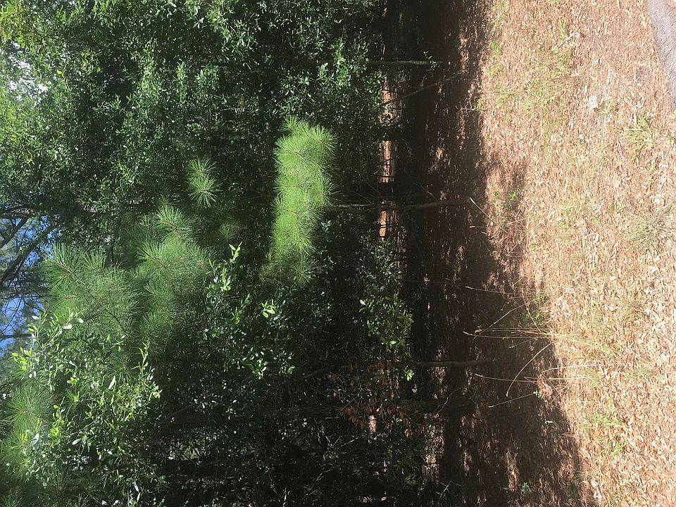 2nd image of 115 Gray Fox Run