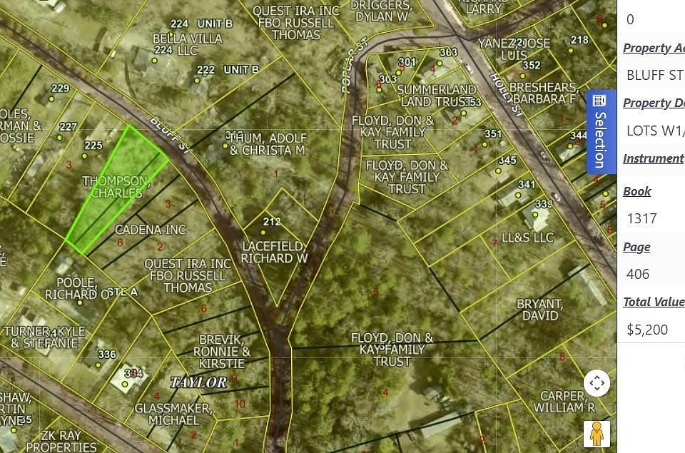 2nd image of Bluff St