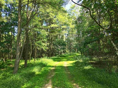 Meadow Shores Rd, Neshkoro, WI, 54960