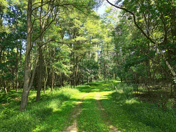 Meadow Shores Rd, Neshkoro, WI 54960