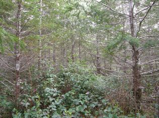 0 Middle Satsop Rd, Montesano, WA 98563