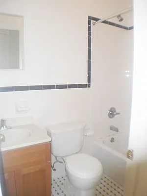 Rented by Blue Star Apartments | media 13