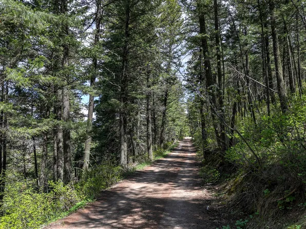 13275 Balsamroot Rd, Lolo, MT 59847