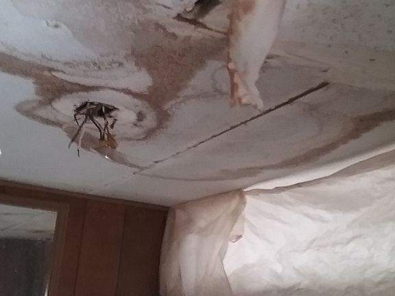 Roof leak in bathroom