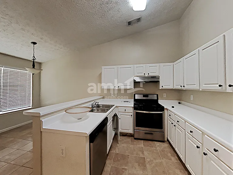 4701 Gold Mine Dr — Photo 4