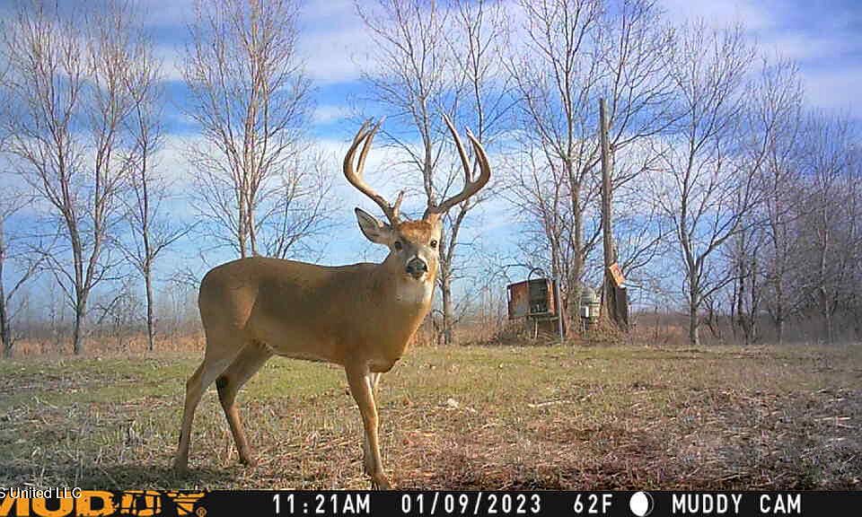 Sloppy Deaden Rd, Isola, MS 38754 MLS 4045441 Zillow