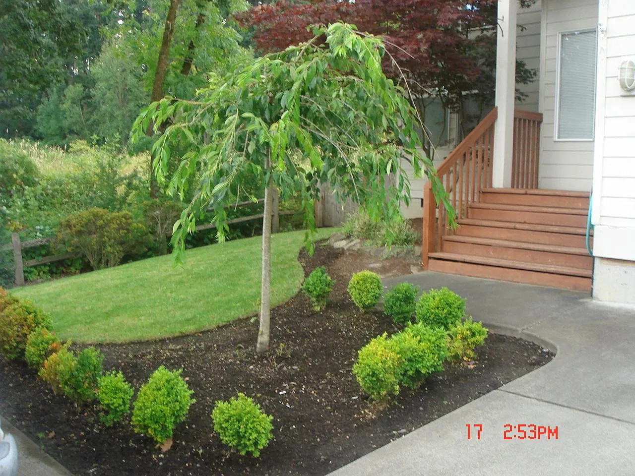 3 bed, 1600 sqft, $2,945 — Photo 3