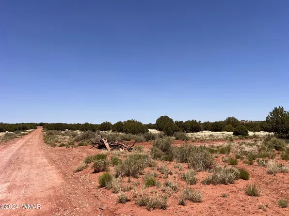 4161 S Pinto Rd, Snowflake, AZ 85937