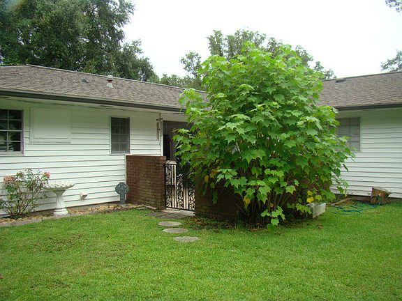 Additional View back