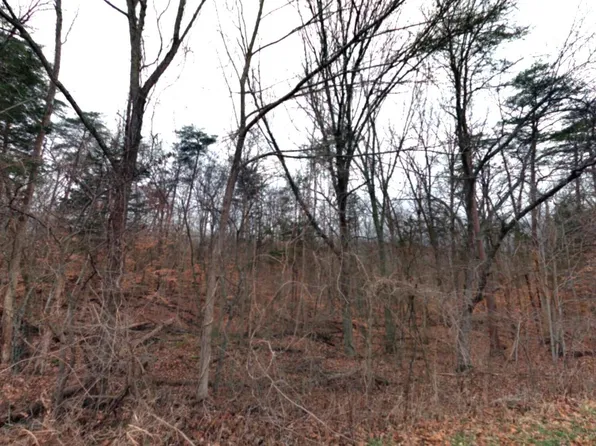 149 Doewood Ln, Coxs Creek, KY 40013