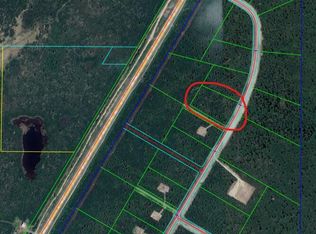 49268 S Timberwolf Rd, Sutton, AK 99674