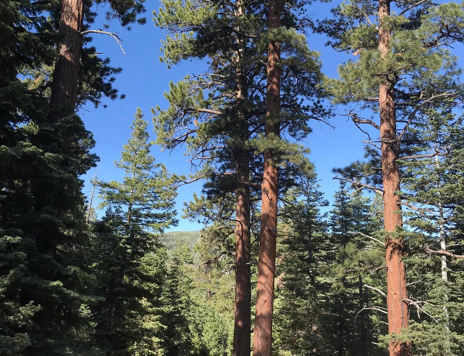 2, Summit, UT 84772 MLS 99176 Zillow