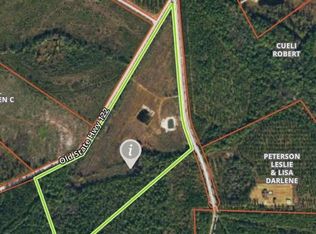 456 Winged Teal Rd, Manor, GA 31550