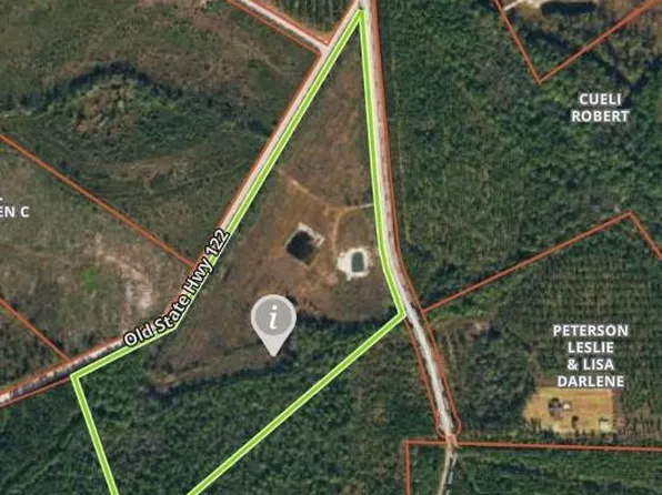 456 Winged Teal Rd, Manor, GA 31550