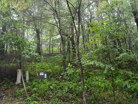 4th image of Pine Knoll Dr