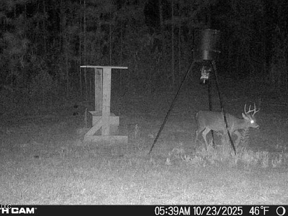 3rd image of 285 Mount Horeb Rd