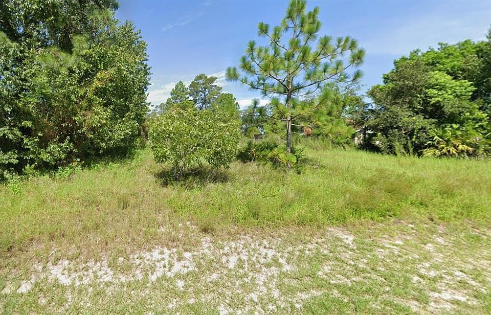 1st image of 10533 NODDY TERN ROAD LOT 17