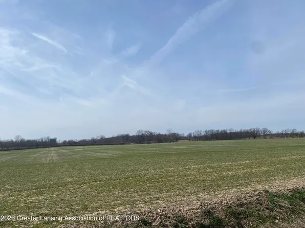 V/l N Meridian Rd, Ovid, MI 48866