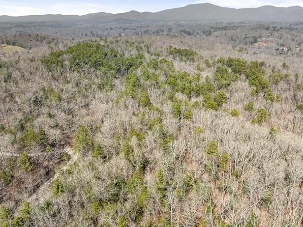 3 Old Mill Rd, Mineral Bluff, GA 30559