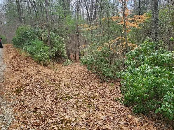 18 Gray Fox Trl, Blairsville, GA 30512