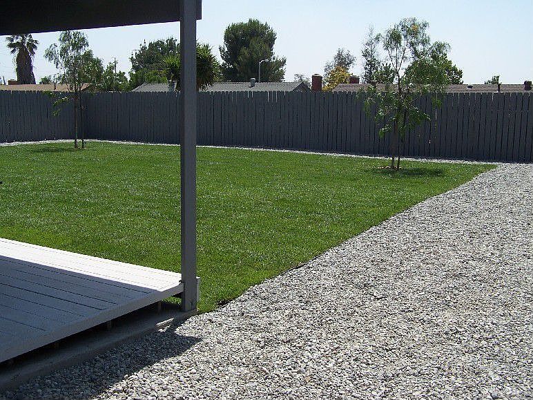 Back yard