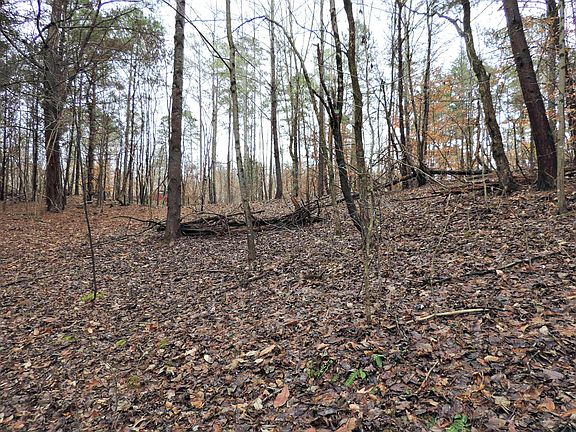 5th image of 0 Covington Rd Lot 1B