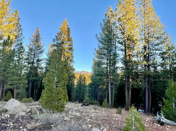 501 Red Sky, Portola, CA 96122