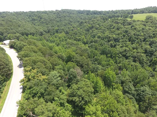 State Highway 7 S, Jasper, AR 72641