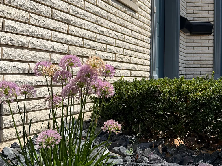 409 Lakeside Ave #6 — Photo 15