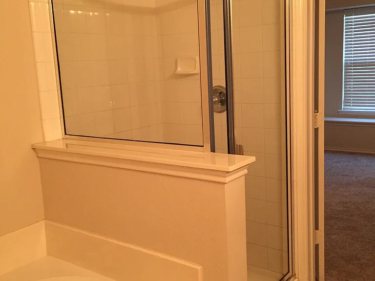 master bathtub and separate walk in shower