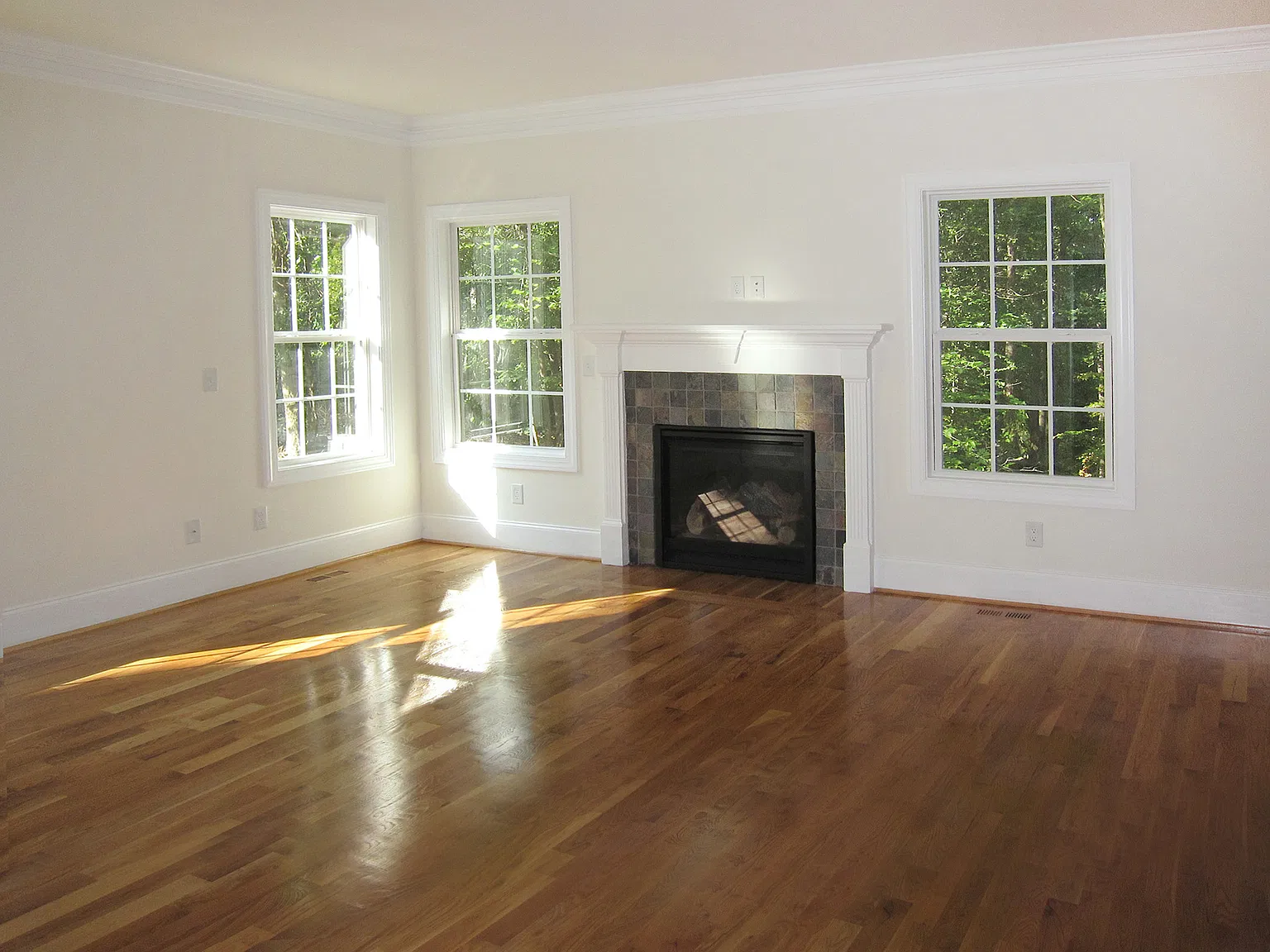 5 bed, 2000 sqft, $5,000 — Photo 2