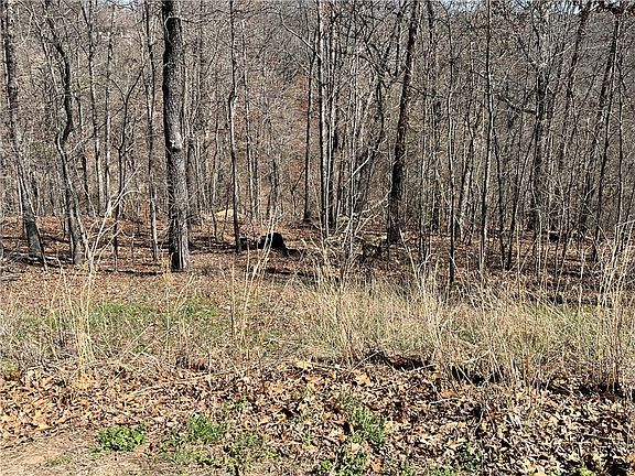 5th image of 67 Skipton Dr