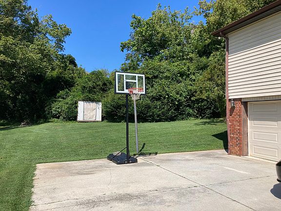 Beautiful backyard,grass