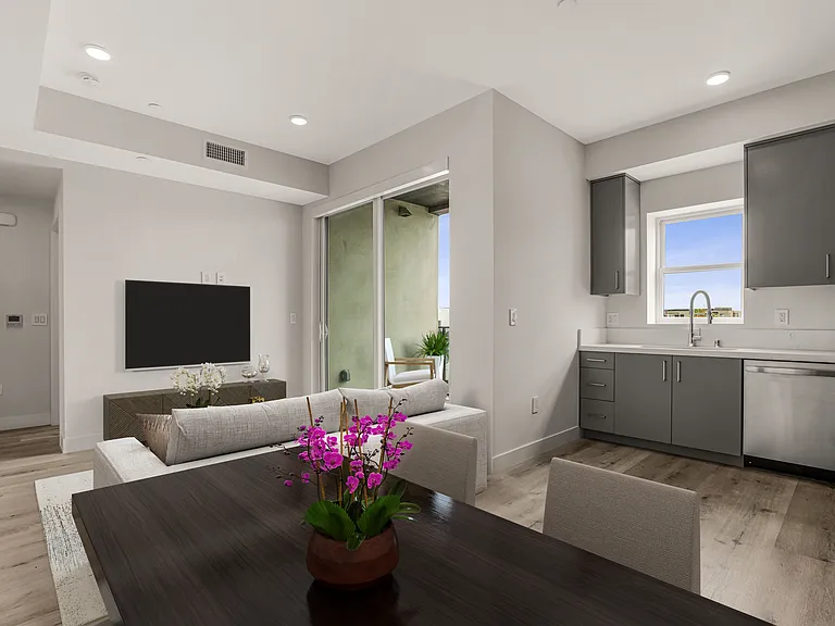 Living Room and Kitchen with Furniture