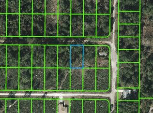 216 Condor Ave, Sebring, FL 33870