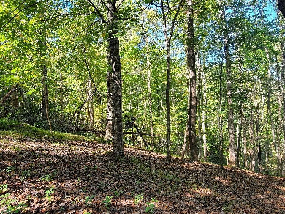 1st image of 56 Summer House Dr