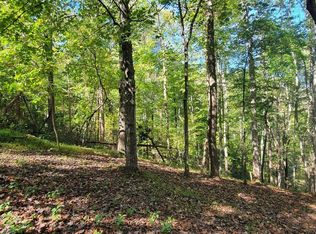 56 Summer House Dr, Hardy, VA 24101