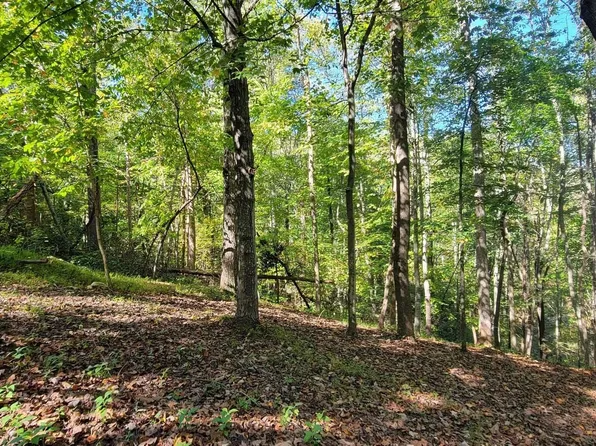 56 Summer House Dr, Hardy, VA 24101