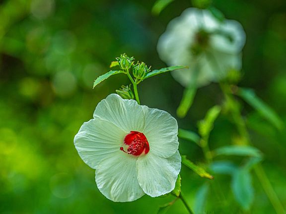 129th image of this home