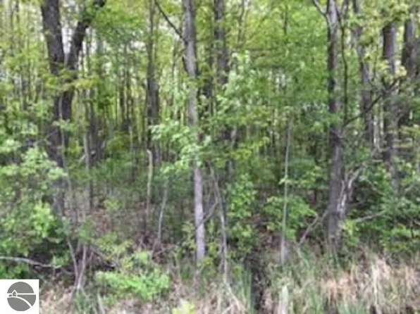 N A E Huron Rd, Au Gres, MI 48703