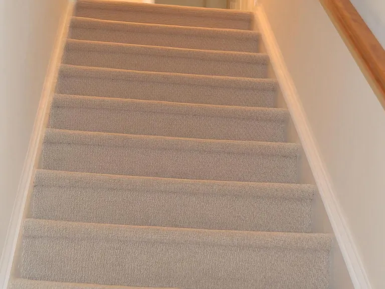 285 Snowgoose Ct — Photo 18