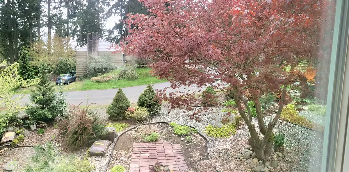 1 bed, 1.5 bath, 400 sqft, $1,550 — Photo 2