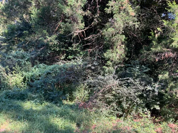 123 Dawsey St, Cordova, SC 29039