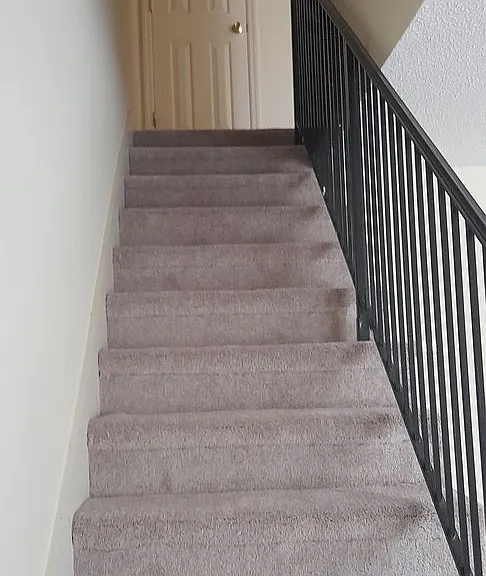 4116 Maple Terrace Ln — Photo 6